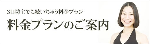 料金プランのご案内