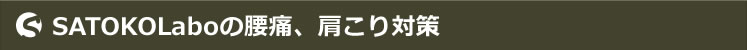 SATOKOLaboの腰痛、肩こり対策